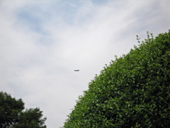 IMG_0022.JPG