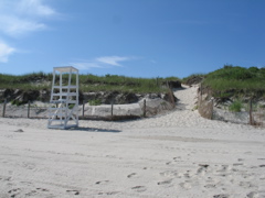 IMG_0047.JPG