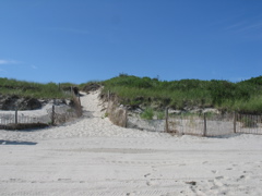 IMG_0048.JPG