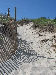 IMG_0050.JPG