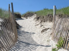 IMG_0053.JPG
