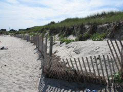 IMG_0055.JPG