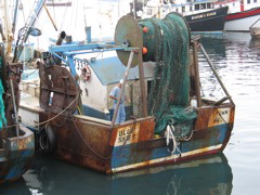 IMG_0065.JPG