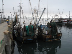 IMG_0067.JPG