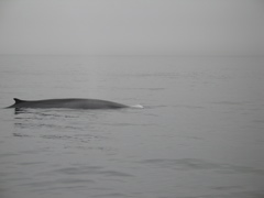 IMG_0114.JPG