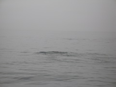 IMG_0169.JPG