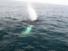 IMG_0186.JPG