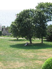 IMG_0010.JPG