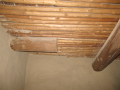IMG_0048.JPG