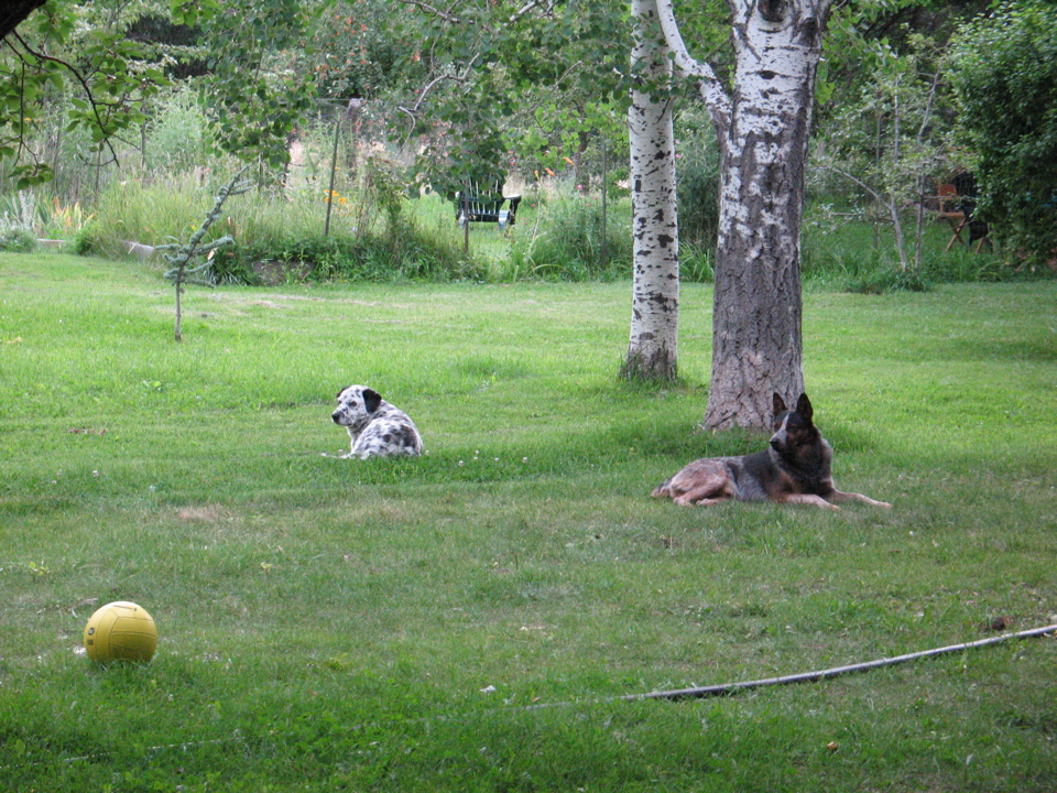 IMG_0019.JPG