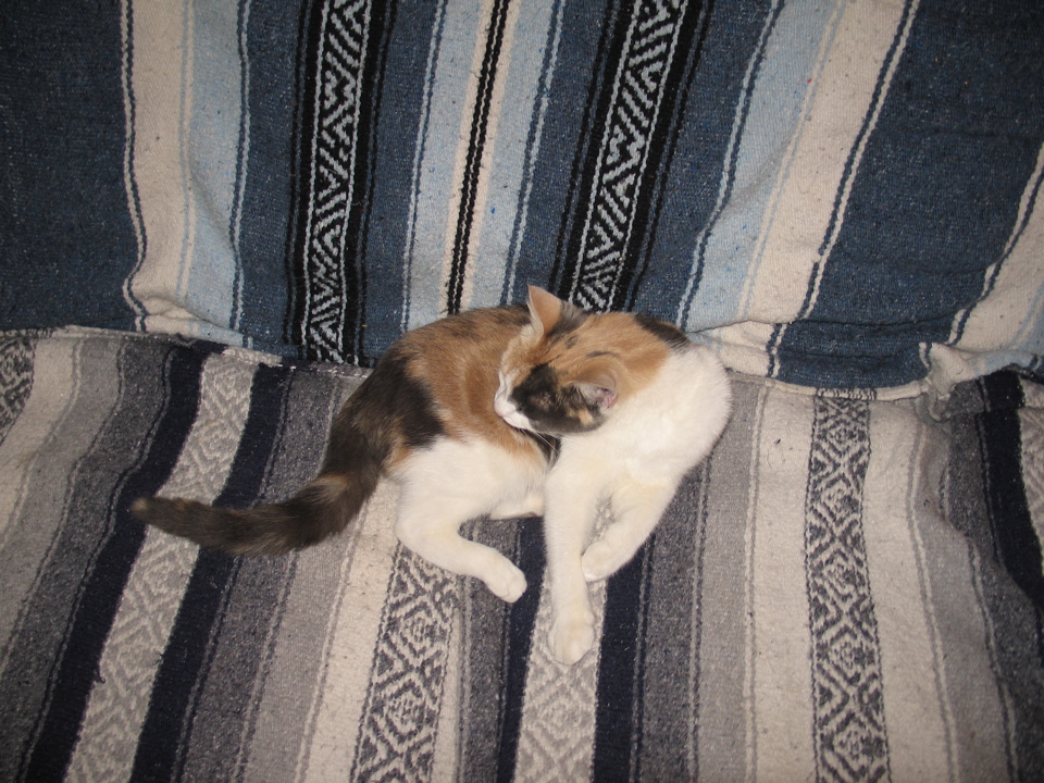 IMG_0024.JPG