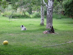 IMG_0018.JPG