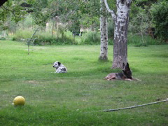 IMG_0019.JPG